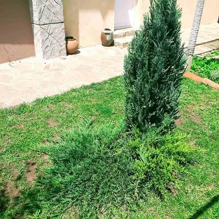 بيت للعطل Aleksandar House