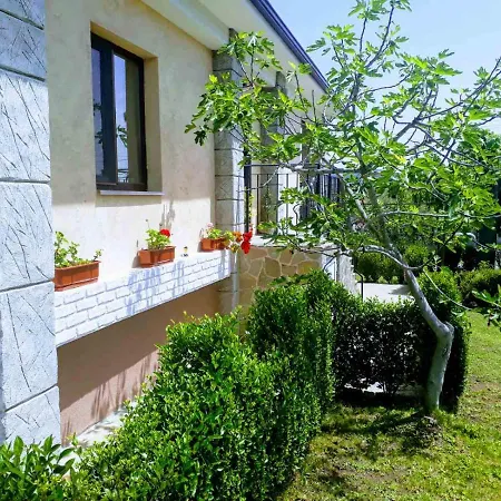 Aleksandar House بيت للعطل *